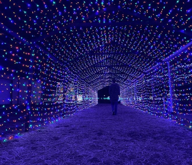 Josh holiday lights