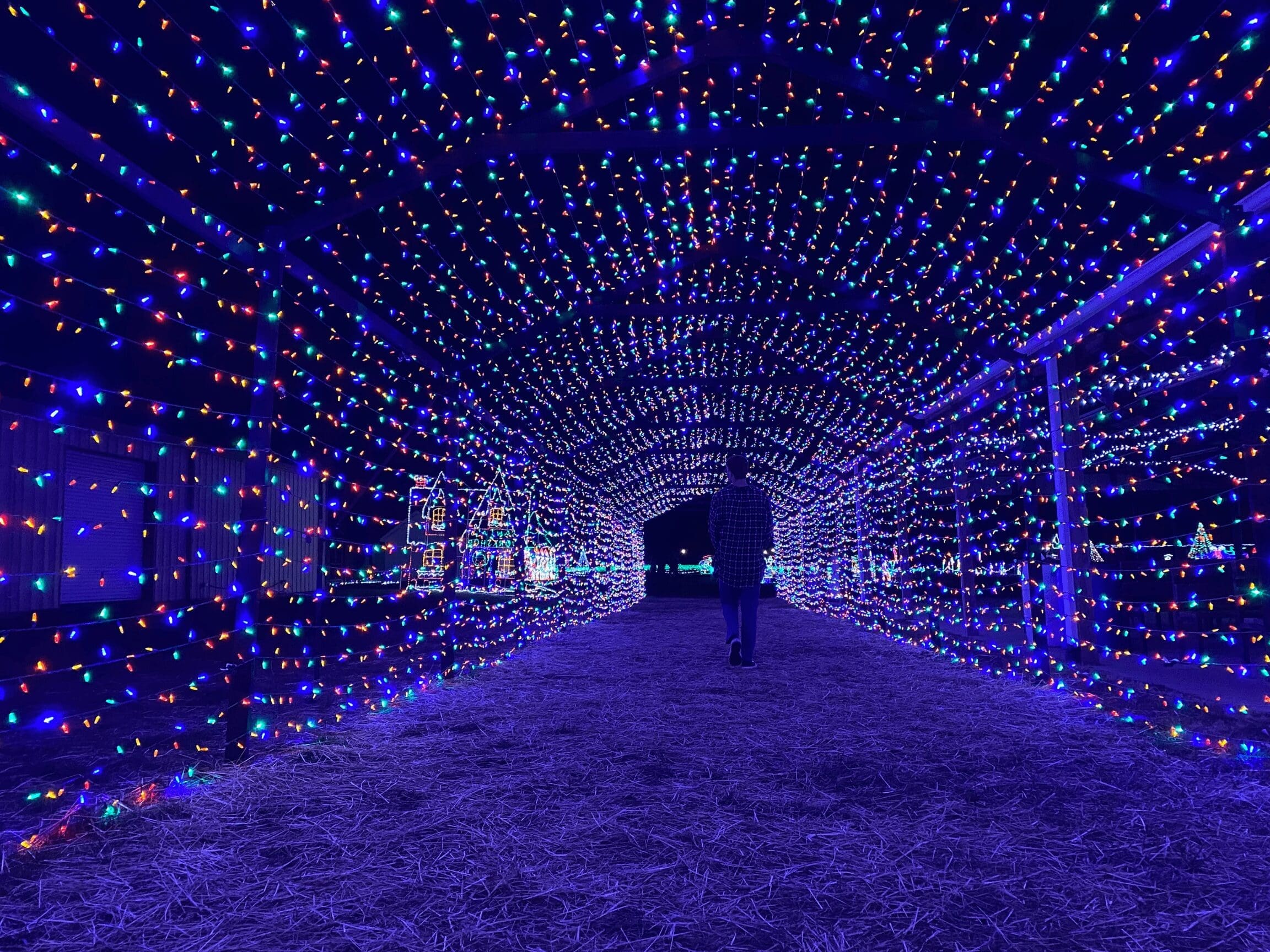 Holiday Lights of Ellijay 2025
